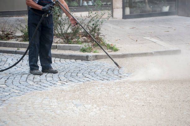Best Driveway Pressure Washing  in Massapequa Park, NY