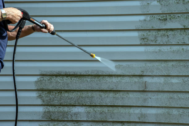 Best Gutter Cleaning  in Massapequa Park, NY